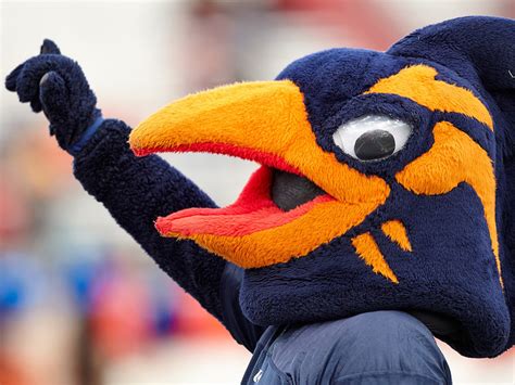 Rowdy and the Utsa Roadrunners: The Story of a Winning Team